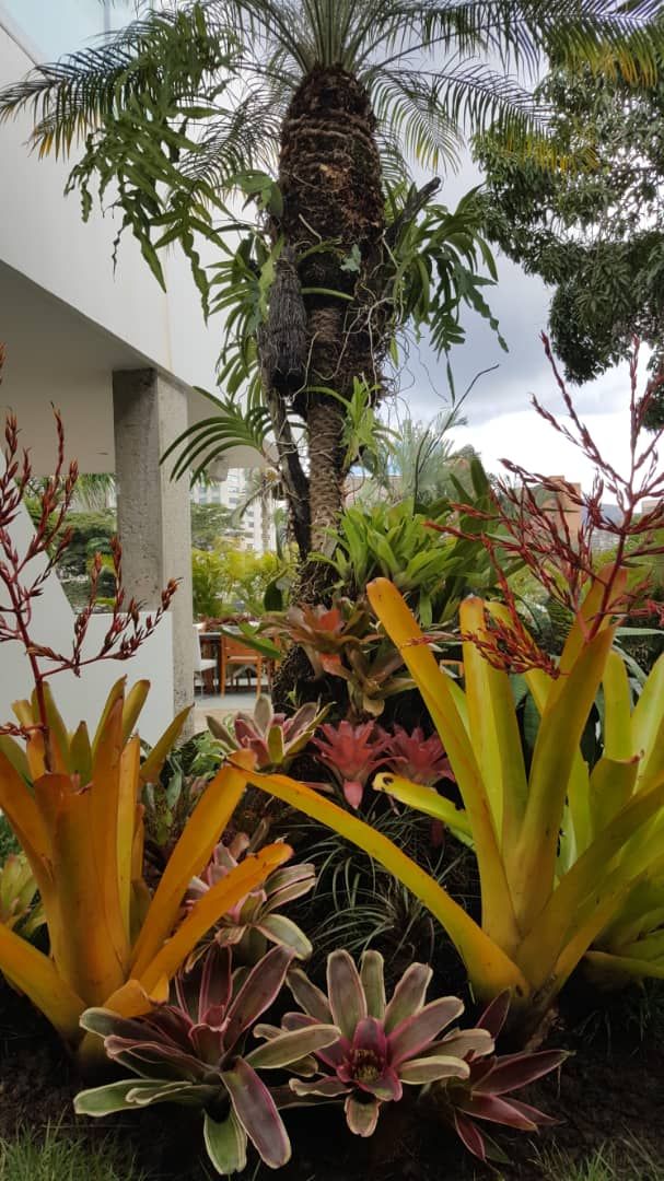 Jardin diseñado y realizado por nuestra aliada Arq. Paisajista Marianella Genatios